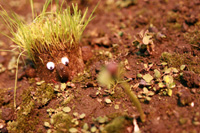 803 mike IMG_1463.jpg